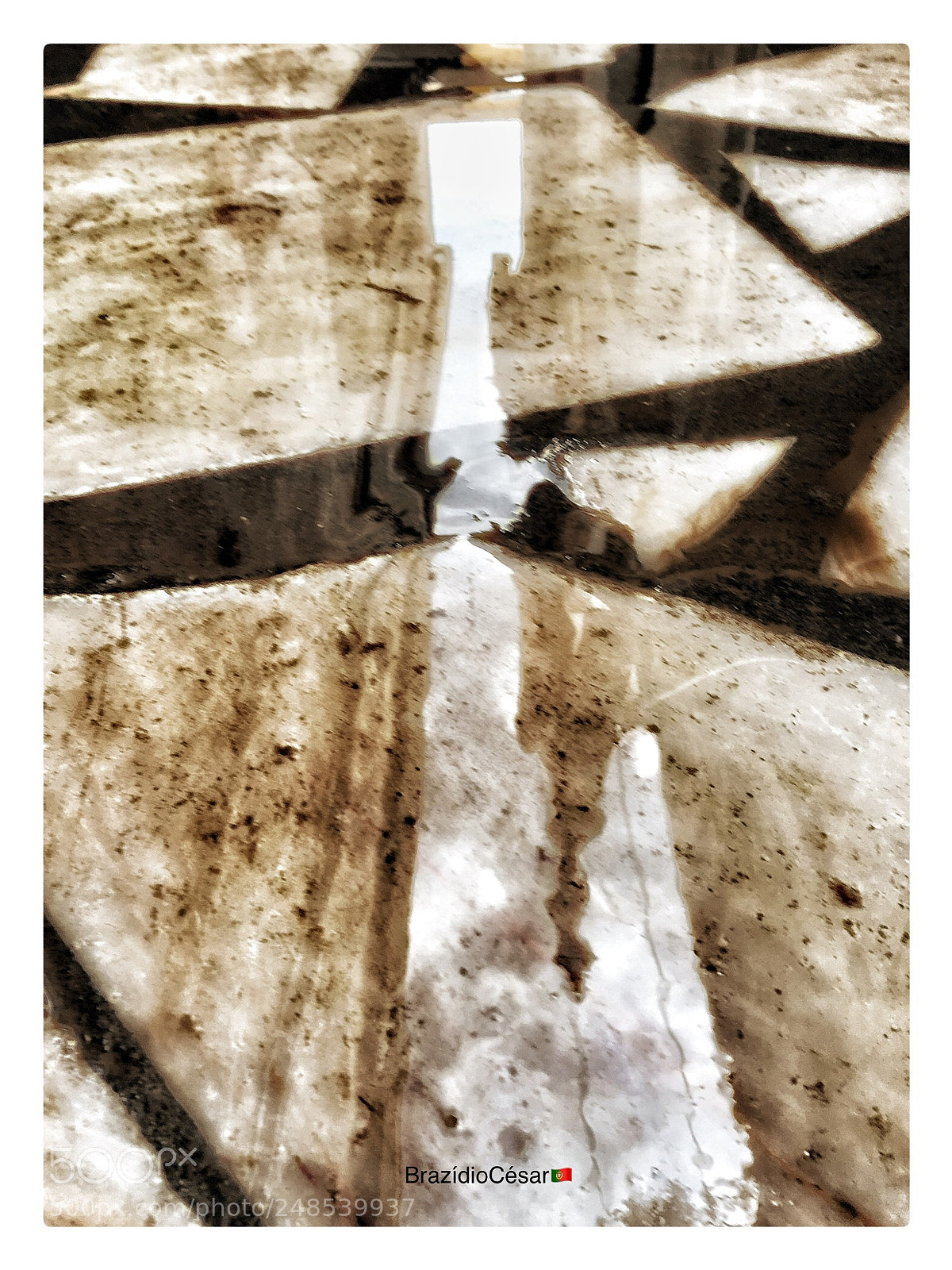 Apple iPhone 6s sample photo. Untitled photography