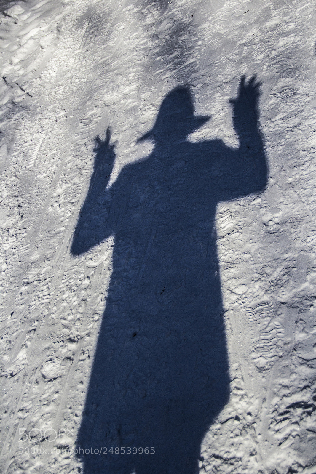 Canon EOS 60D sample photo. A shadow of a photography