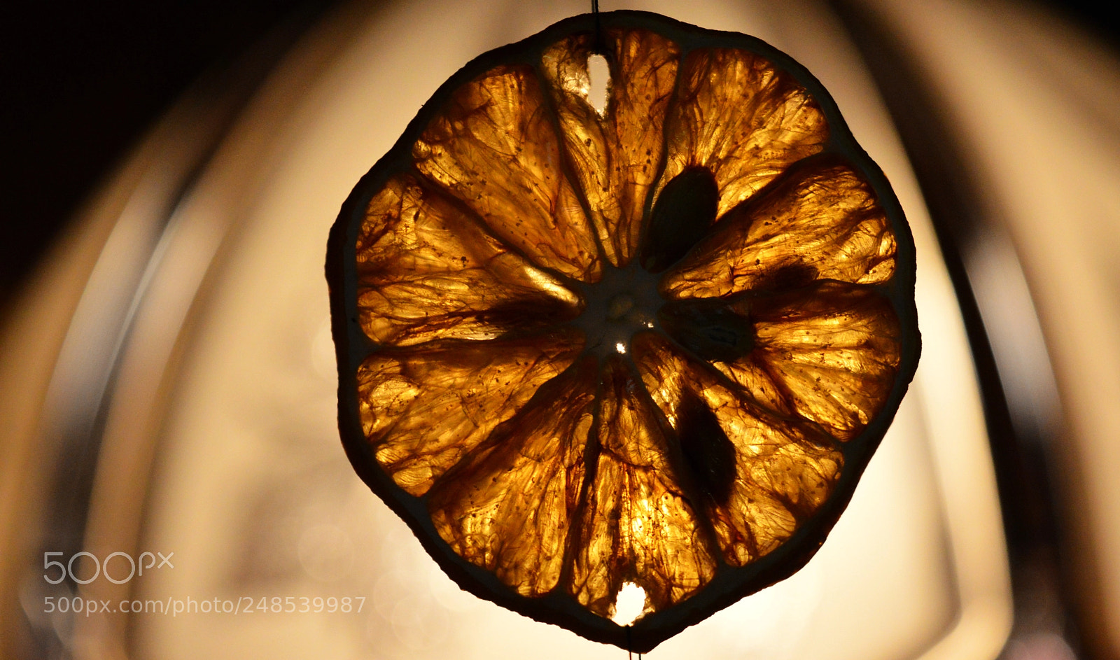 Nikon D3200 sample photo. Lemon photography