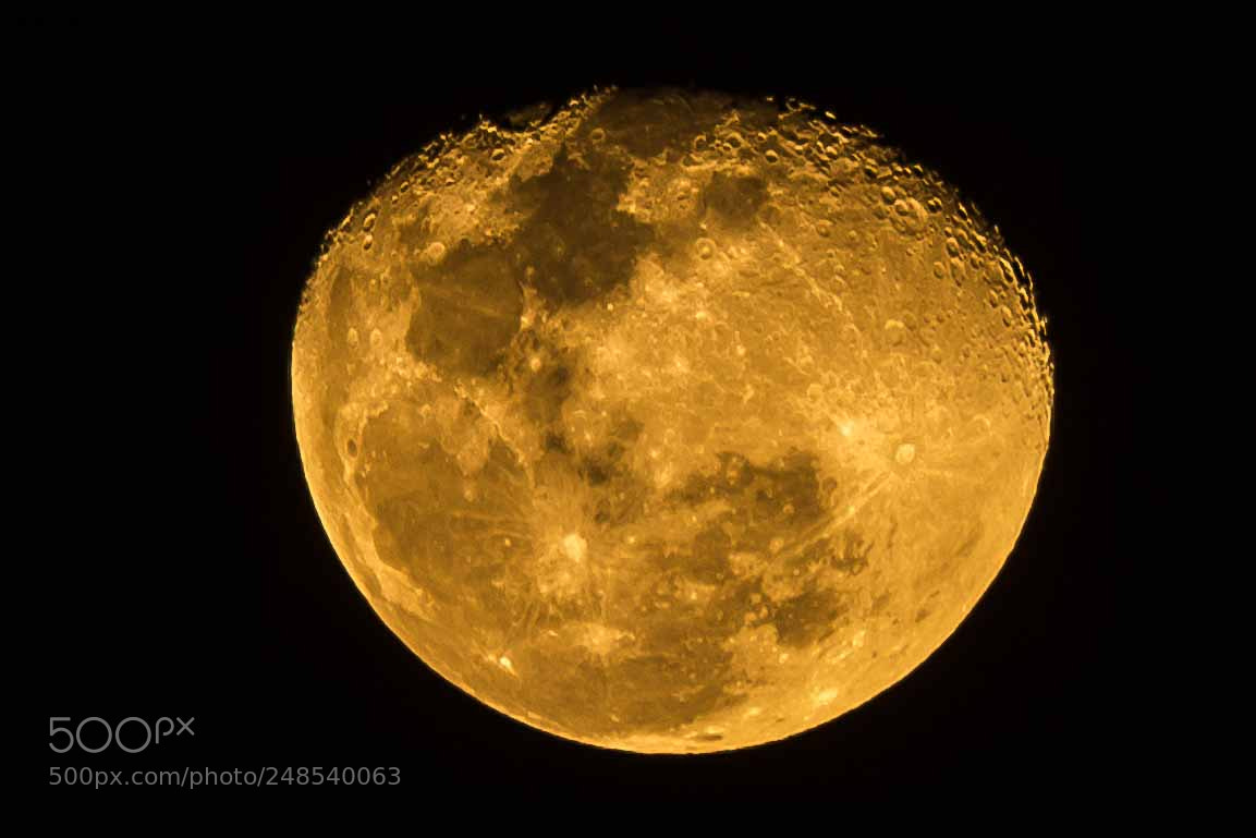 Nikon D7100 sample photo. Moonlight photography