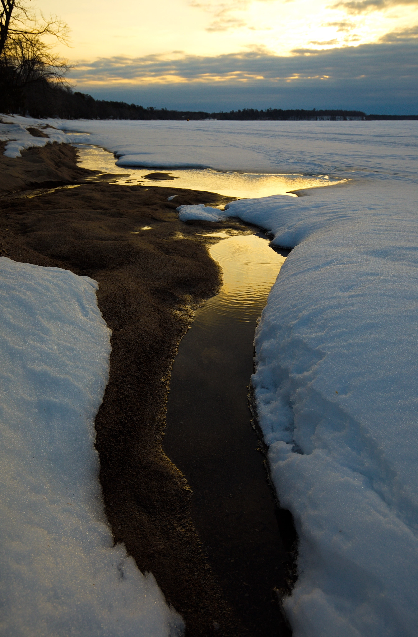 Canon EF 16-35mm F4L IS USM sample photo. The first signs of spring photography