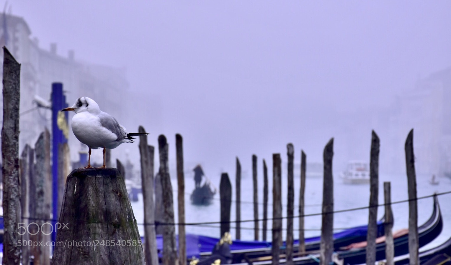 Nikon D7200 sample photo. Day of winter in photography
