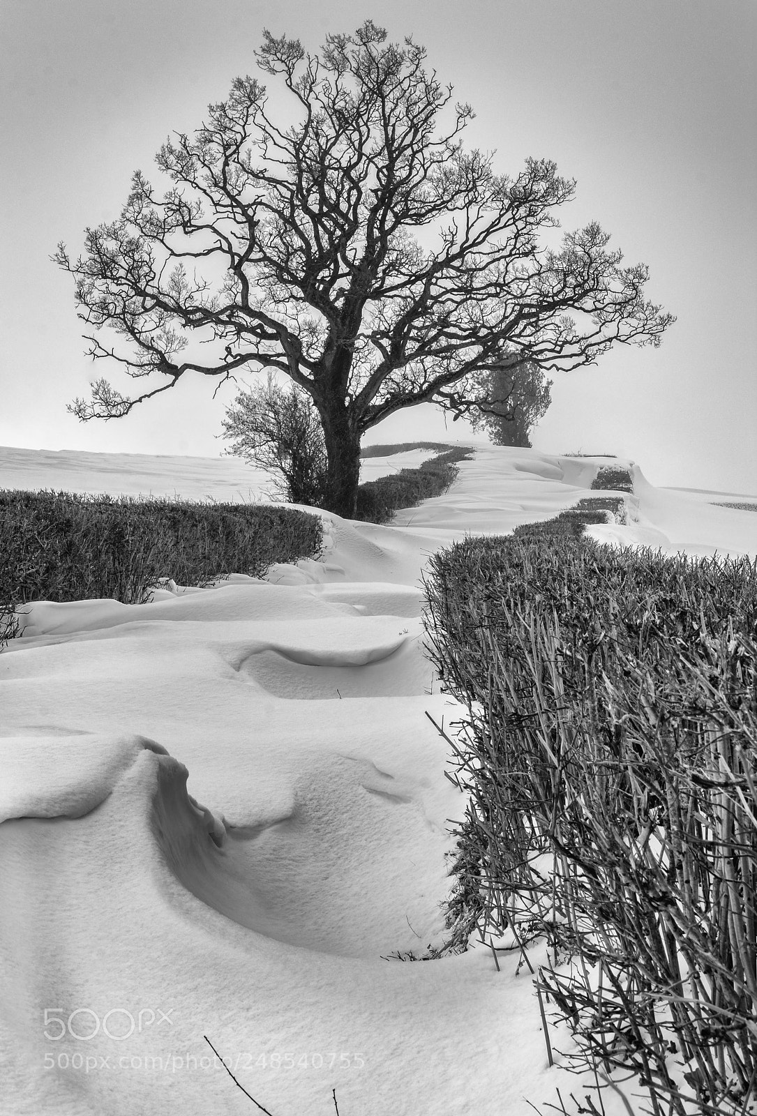 Nikon D7200 sample photo. Snow drift lane photography