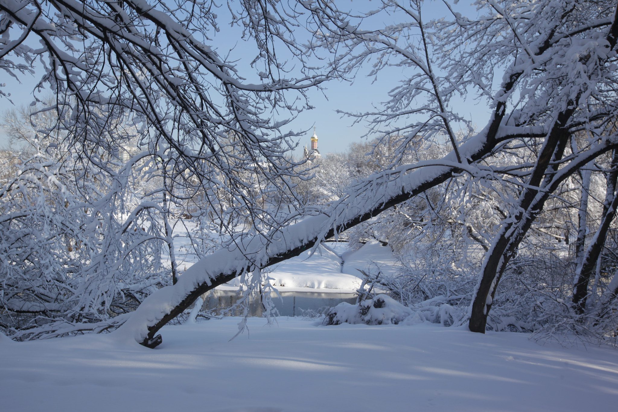 Canon EOS 5D Mark II sample photo. Sviblovo park in moscow photography