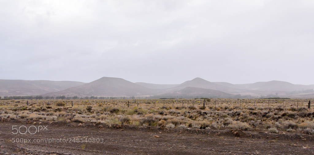 Nikon D5200 sample photo. Llegando a san mart photography