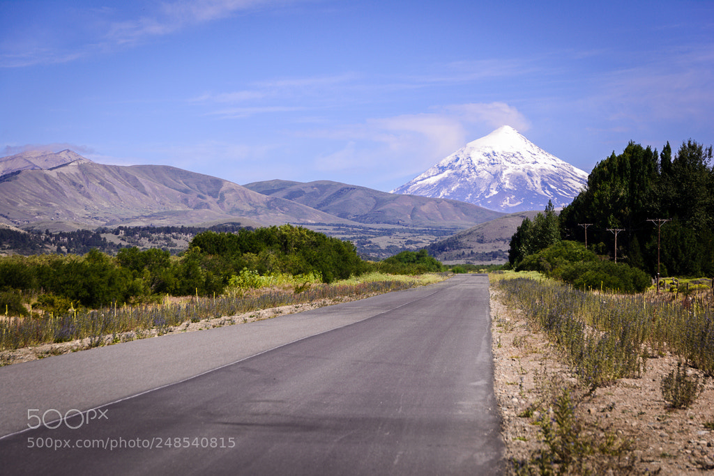 Nikon D5200 sample photo. Lanin photography
