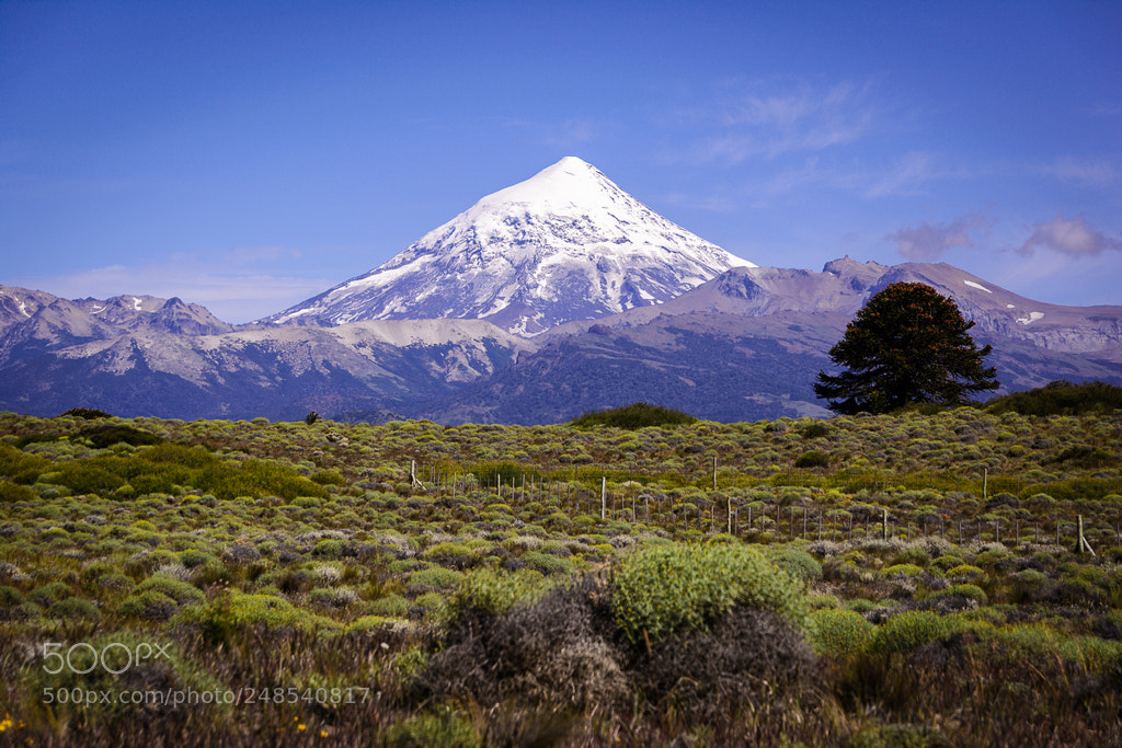 Nikon D5200 sample photo. Lanin photography