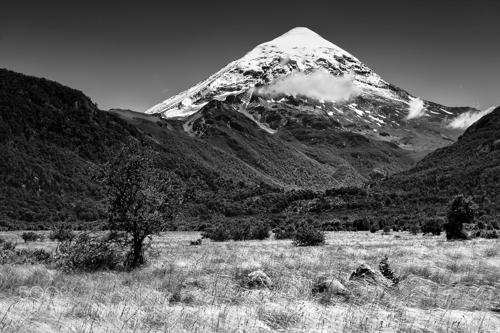 Nikon D5200 sample photo. Lanin photography