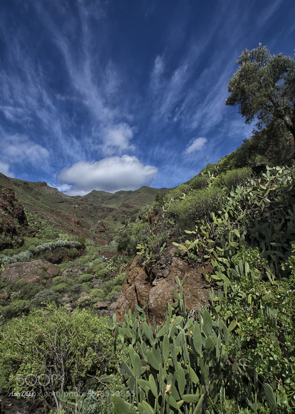 Nikon D7100 sample photo. Gran canaria-canary island photography