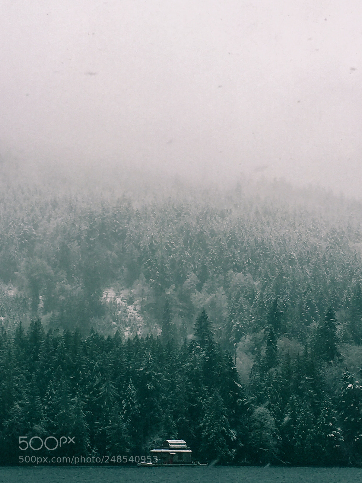 Apple iPhone 6 sample photo. First snow photography