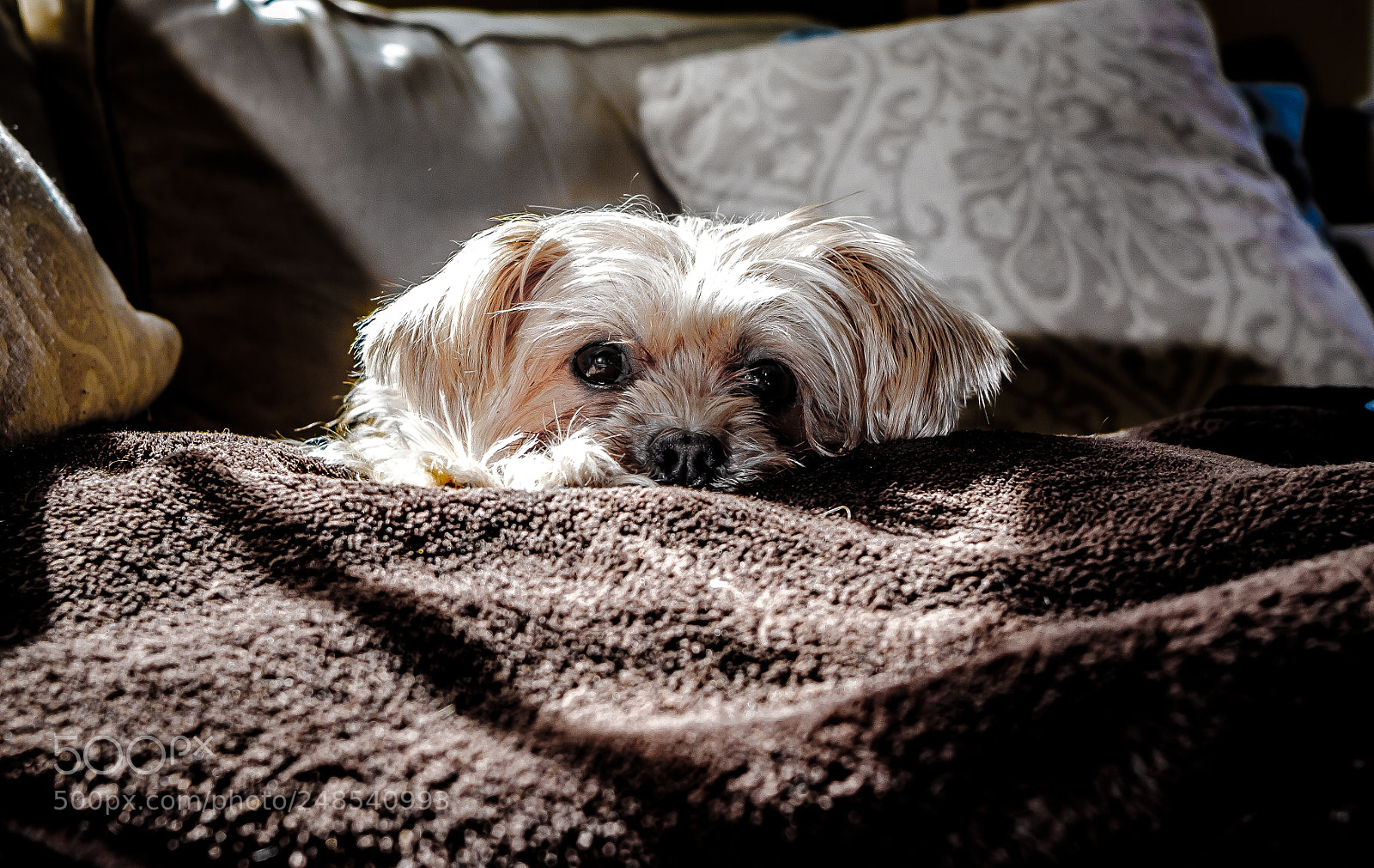 Fujifilm X-T2 sample photo. Tdy (of ) photography