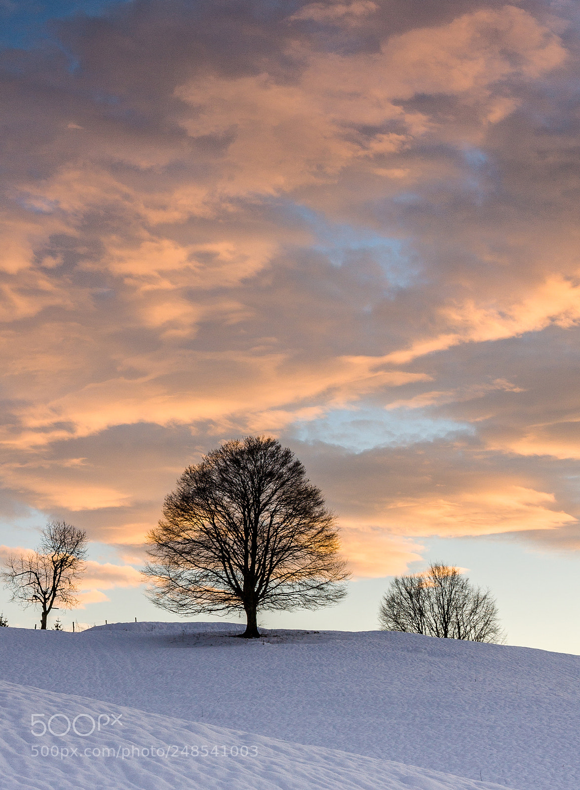 Canon EOS 40D sample photo. Clouds photography