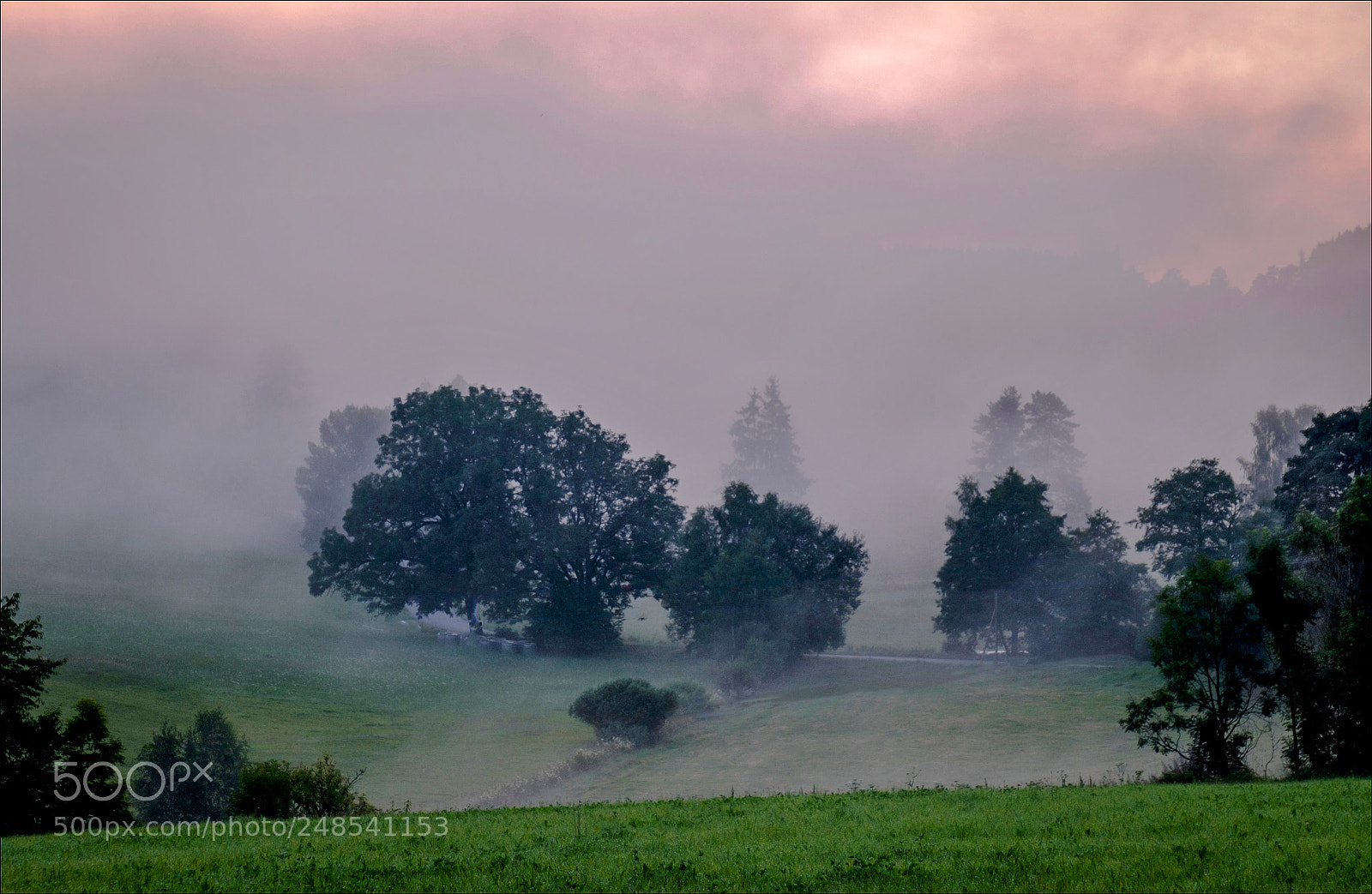 Fujifilm X-T1 sample photo. Evening mist iv photography