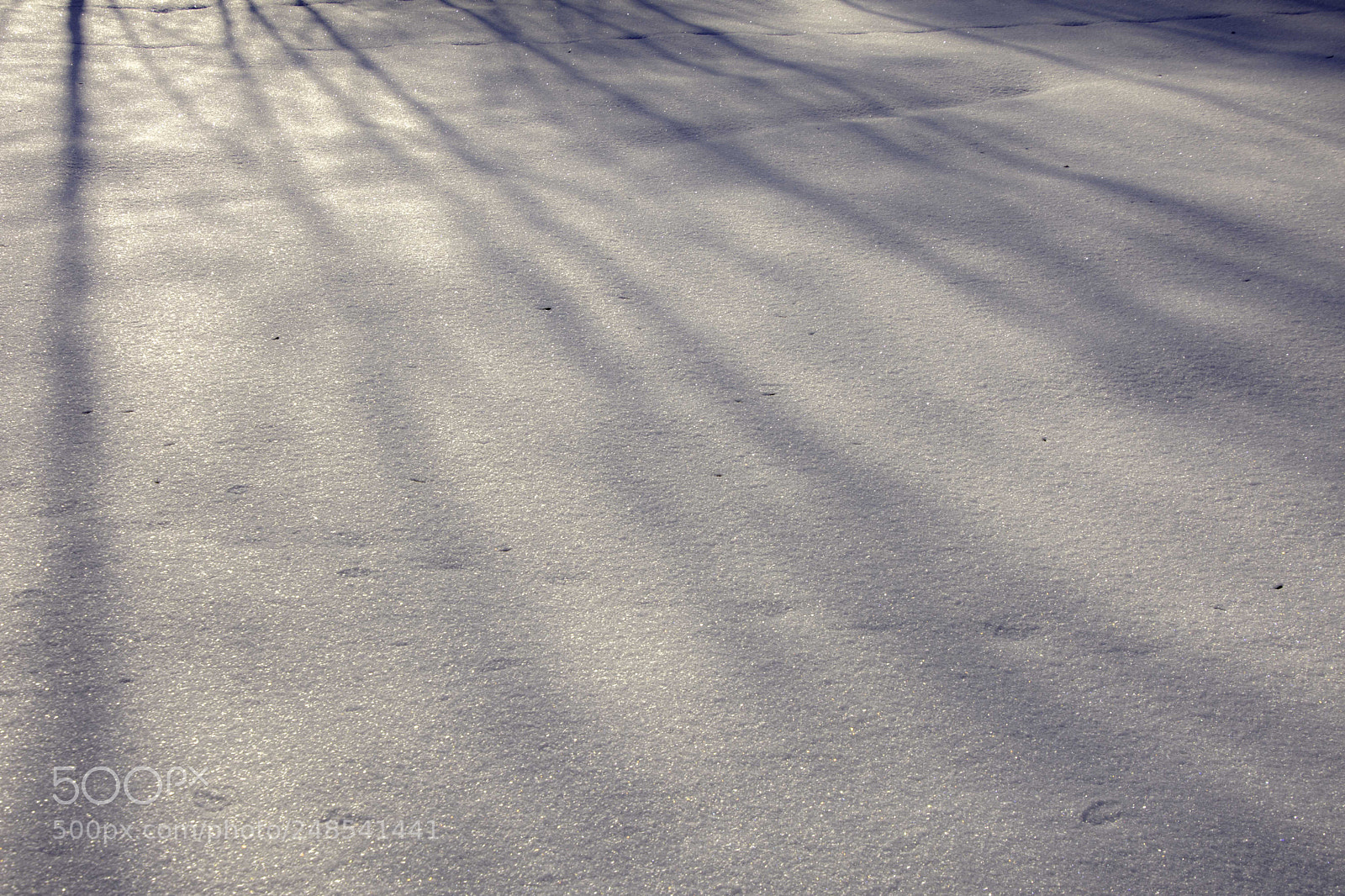 Nikon D7200 sample photo. Lines. photography
