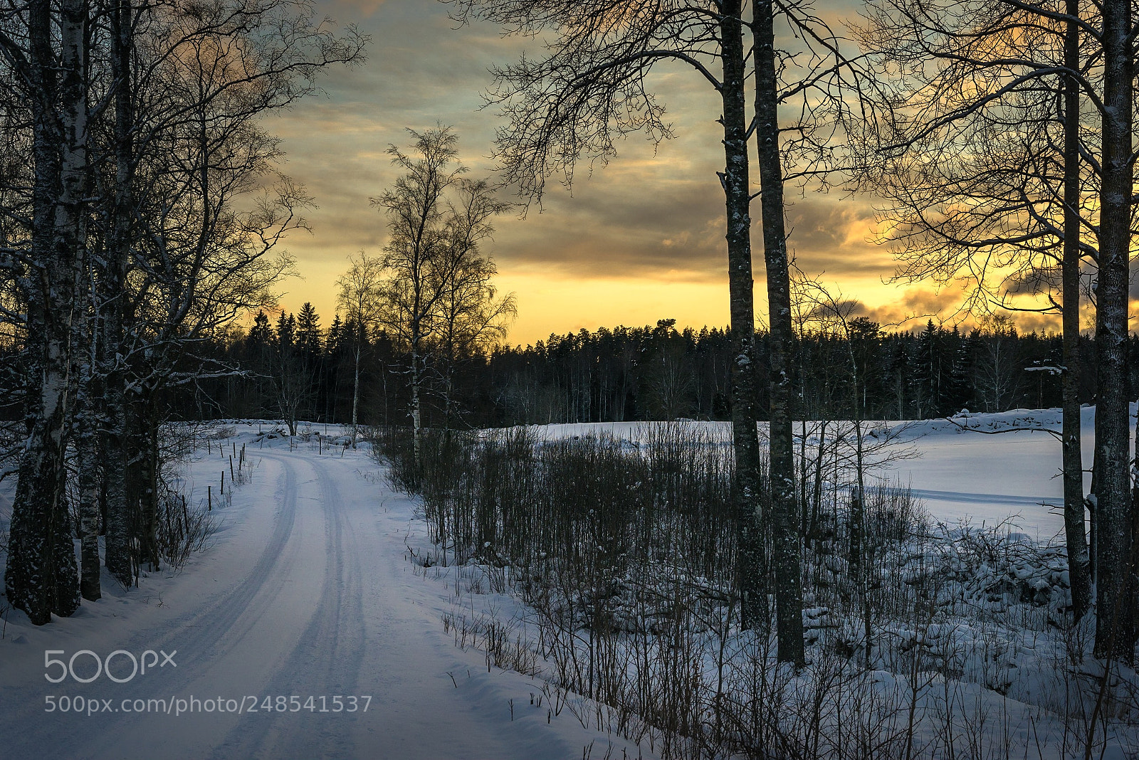 Sony a7R sample photo. Vinterväg photography