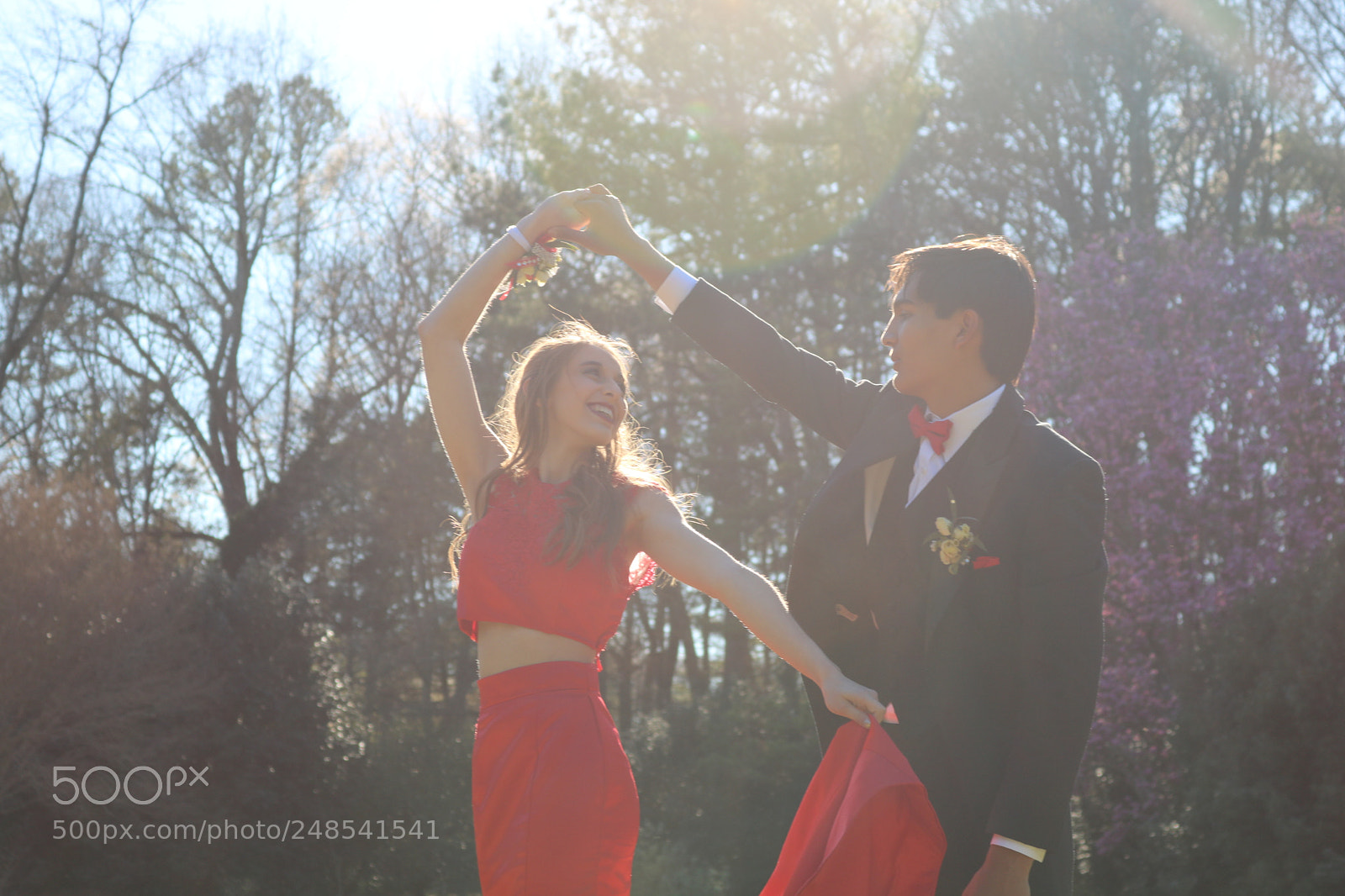 Canon EOS 750D (EOS Rebel T6i / EOS Kiss X8i) sample photo. Time to shine photography