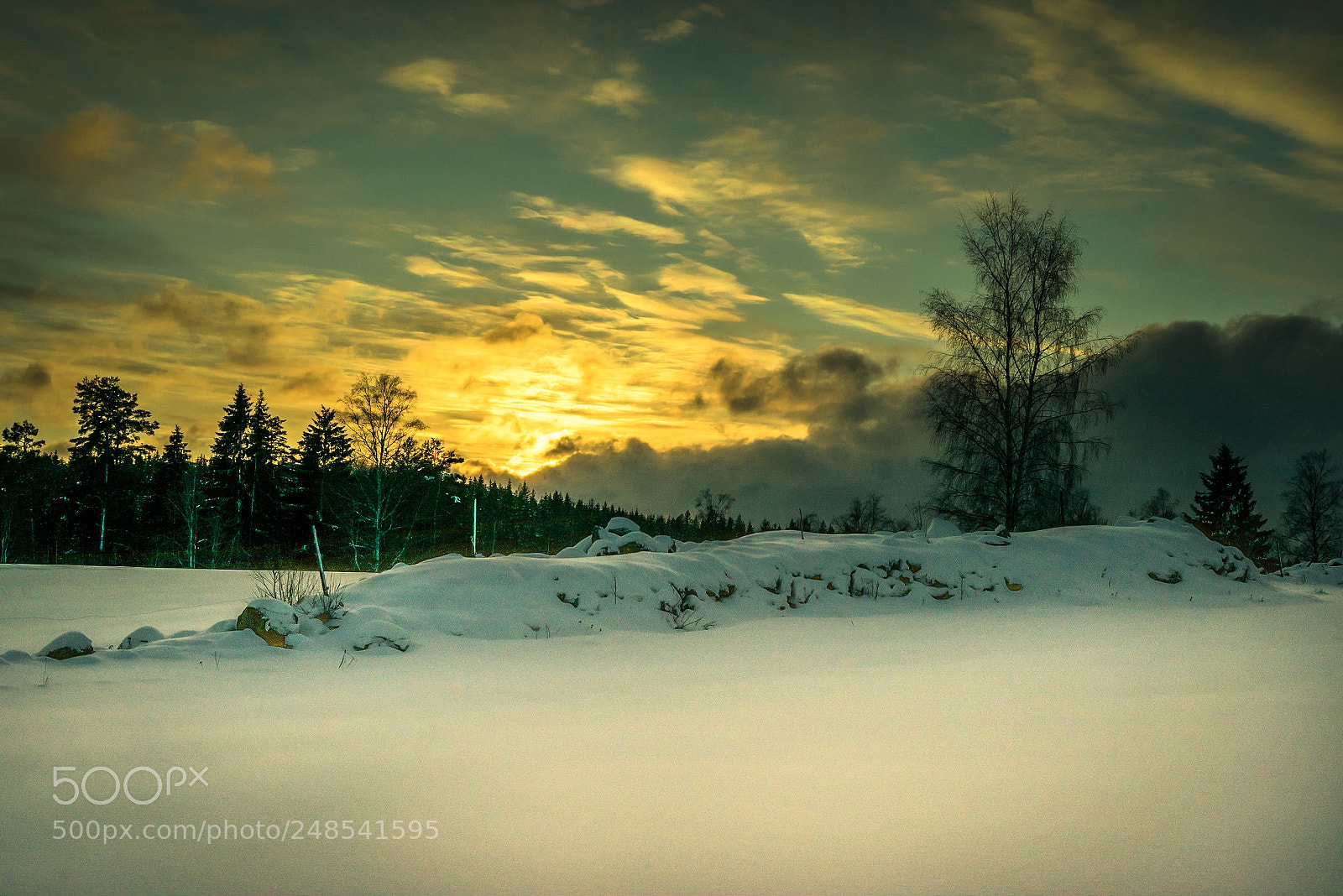 Sony a7R sample photo. Vinterlandskap photography