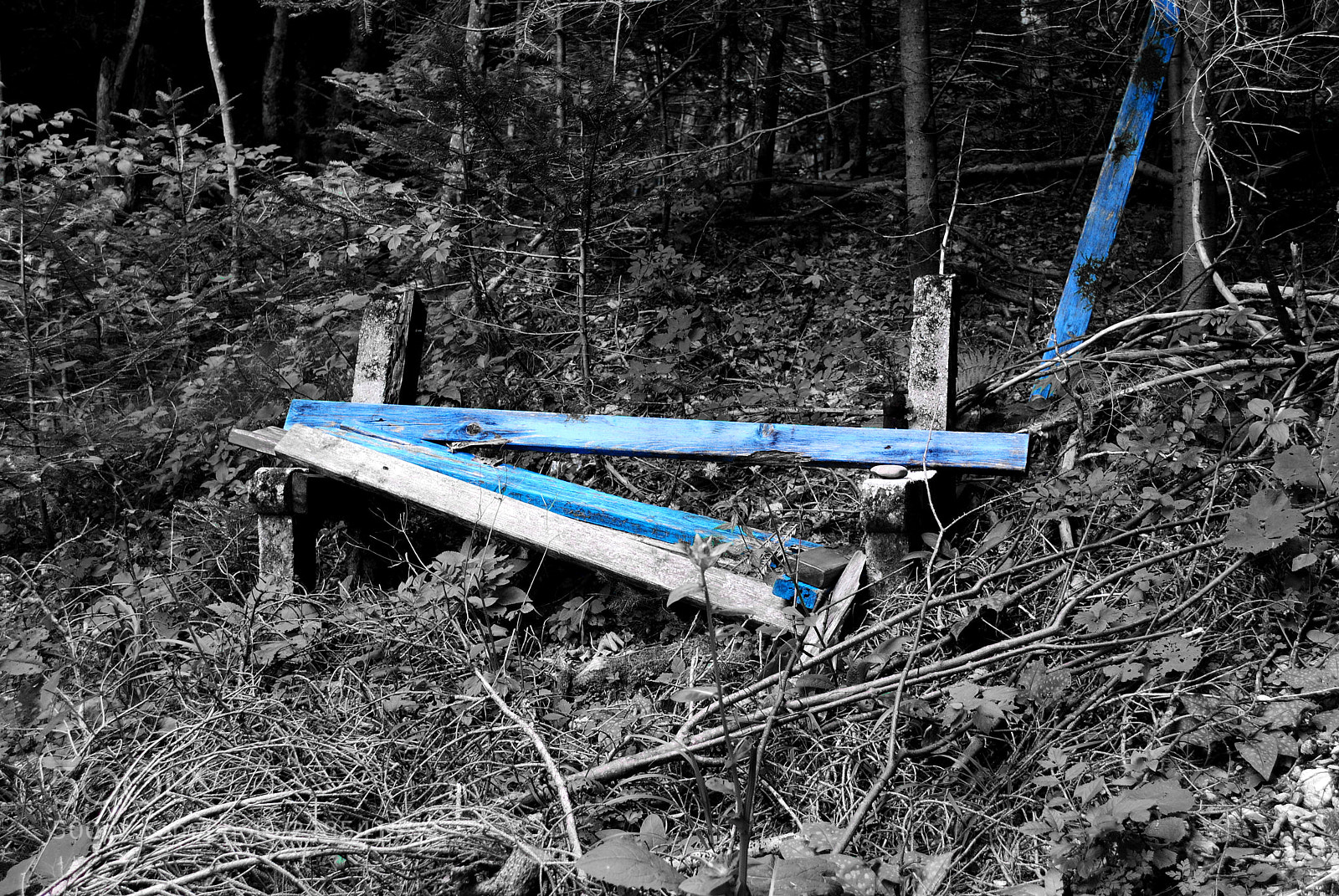 Nikon D3000 sample photo. Blue bench photography