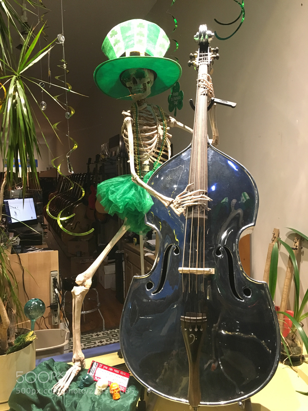 Apple iPhone 6s sample photo. All about that bass photography