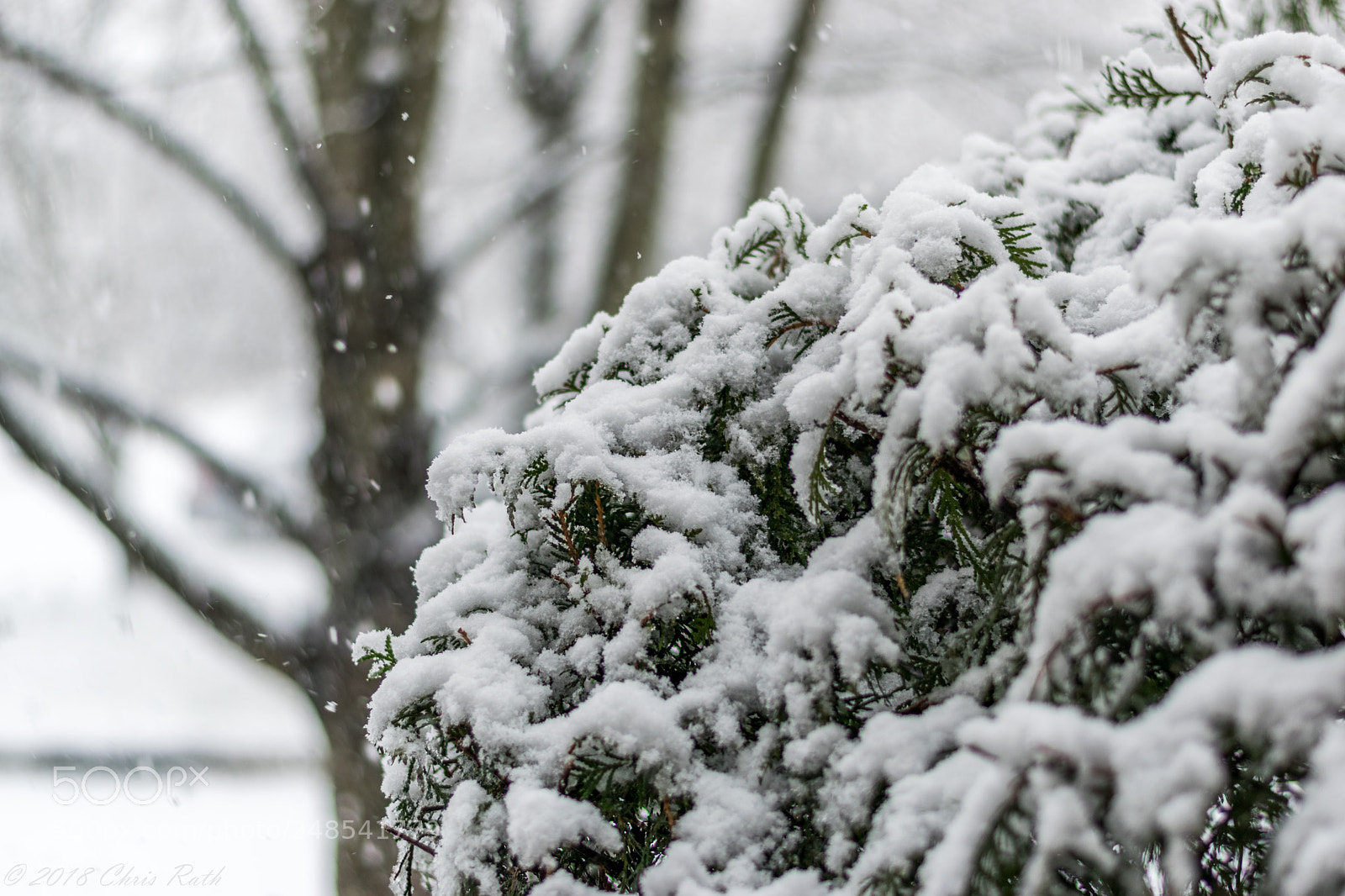 Nikon D5300 sample photo. Snow photography