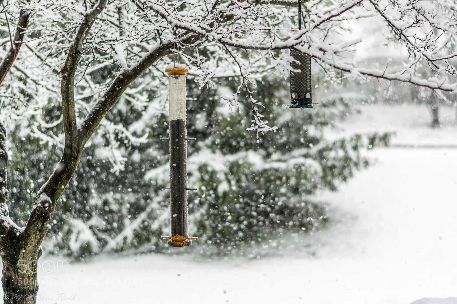 Nikon D5300 sample photo. Snow photography