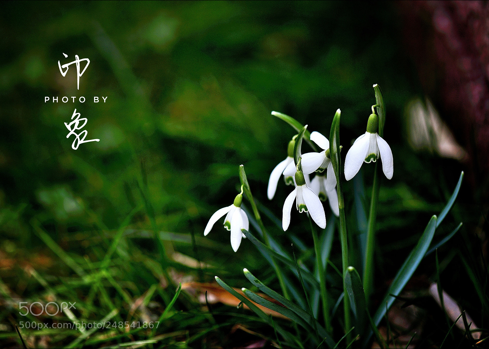 Nikon D3 sample photo. Untitled photography