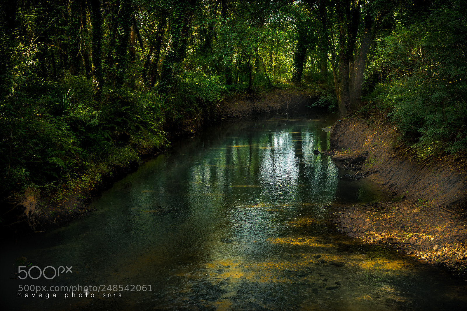Sony a6300 sample photo. Mystery river photography