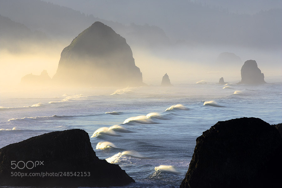 Canon EOS-1Ds Mark II sample photo. Waves with offshore wind photography