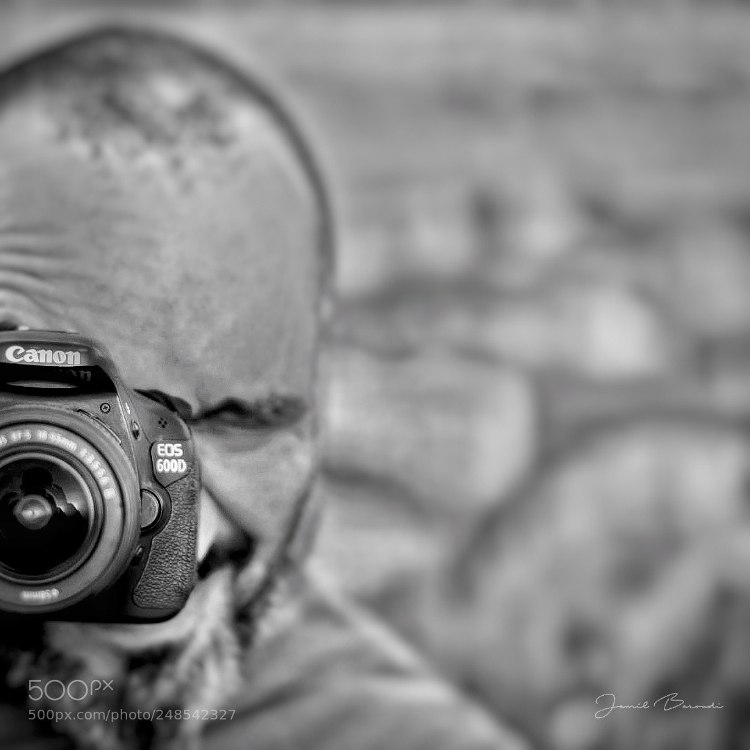 Nikon D7200 sample photo. Hello photography