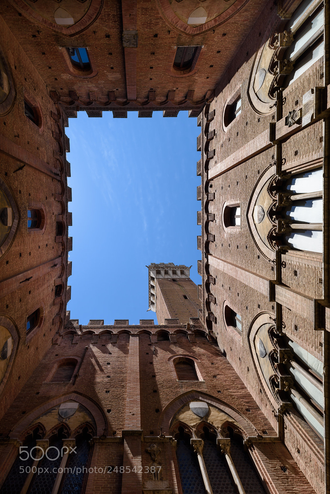 Nikon D810 sample photo. Torre del mangia photography