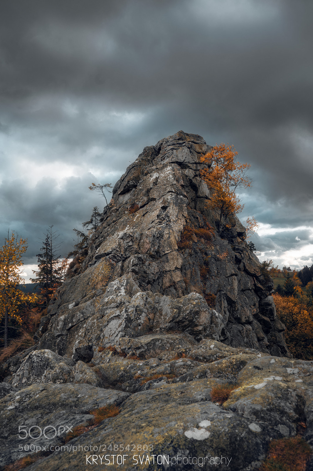 Sony a7 sample photo. Czech republic, highlands photography