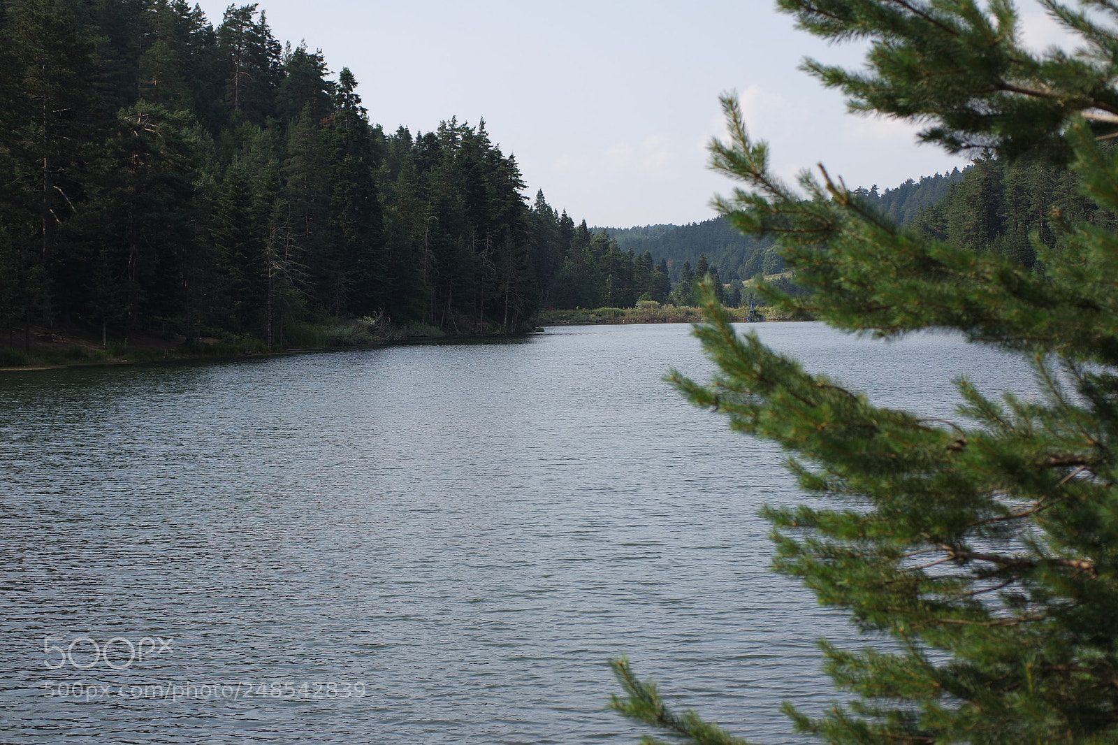 Samsung NX3000 sample photo. The perfeckt logan of photography