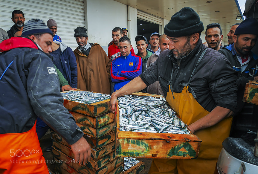 Panasonic Lumix DMC-GX7 sample photo. Port de salamandre mostaganem photography