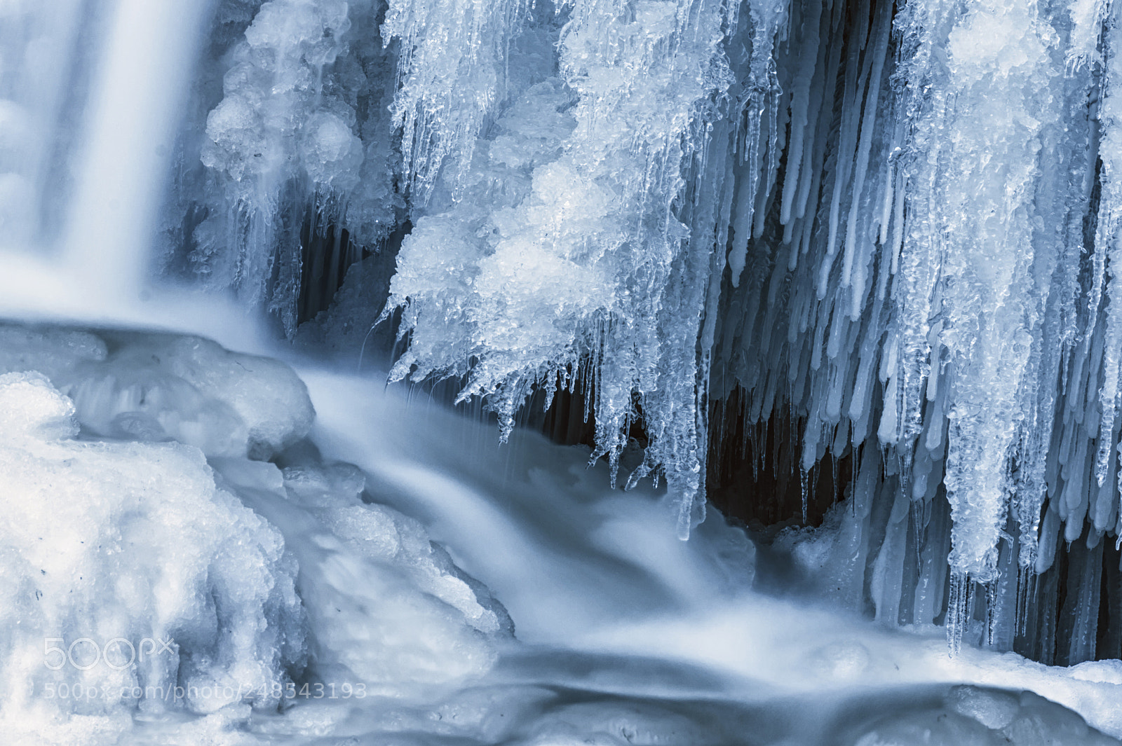 Nikon D700 sample photo. In the woods * frozen photography