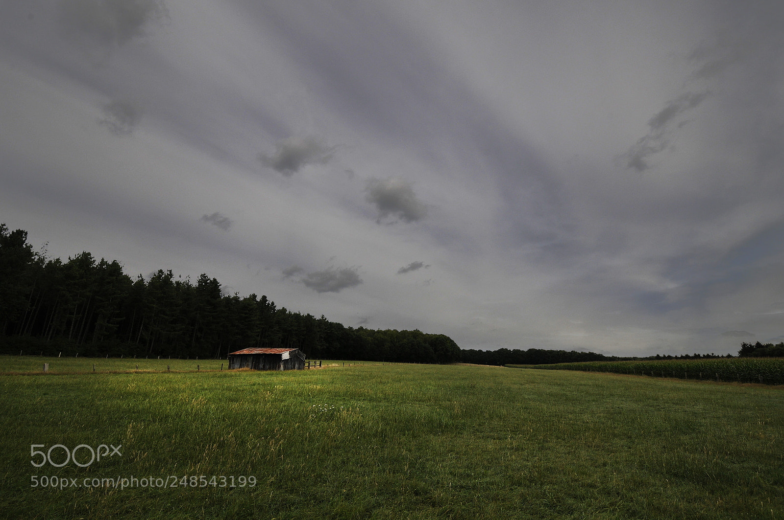 Nikon D300 sample photo. Red barn photography