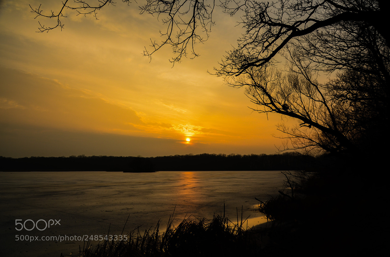 Nikon D5100 sample photo. 300 photography