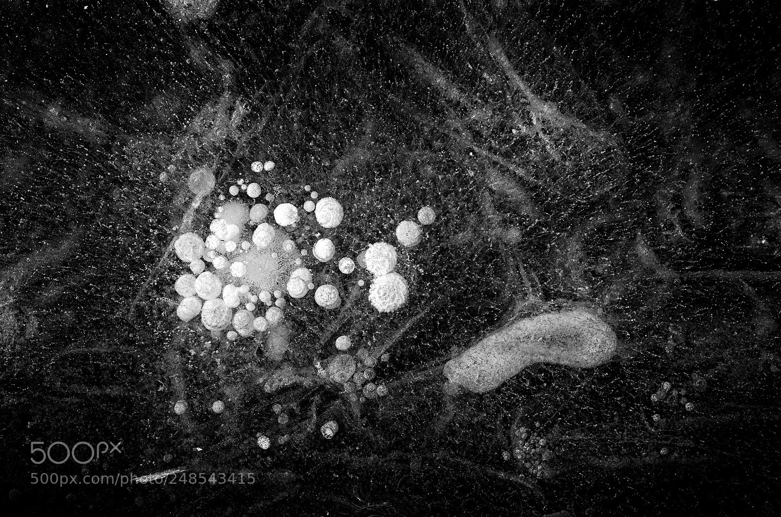 Pentax K-30 sample photo. Parachutes photography