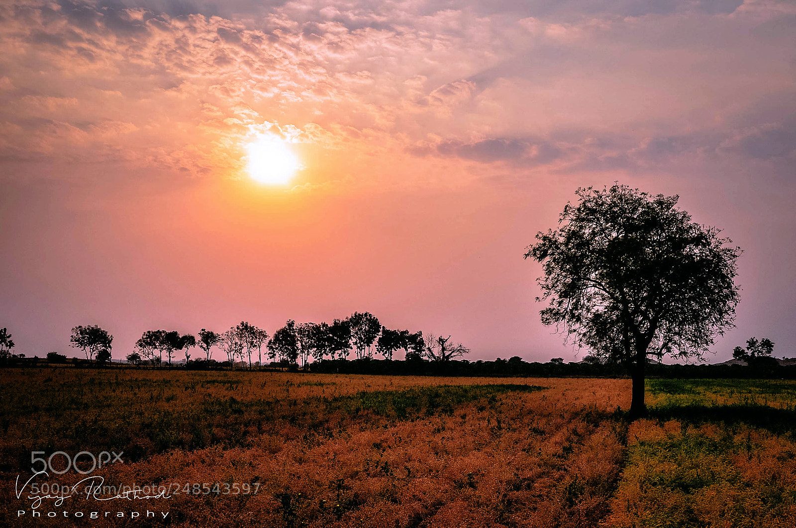 Nikon D90 sample photo. Lovely nature photography