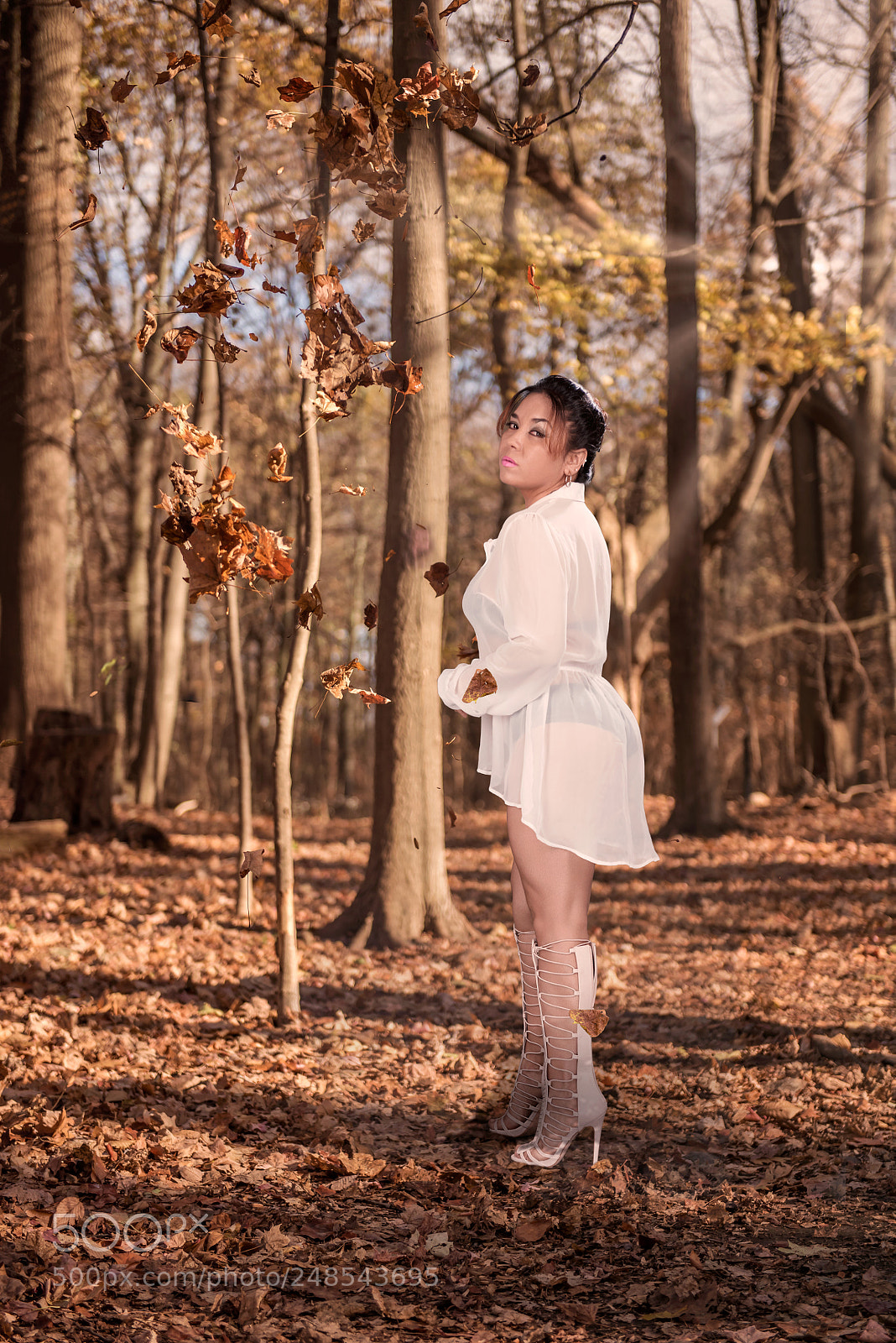 Nikon D810 sample photo. Park photography