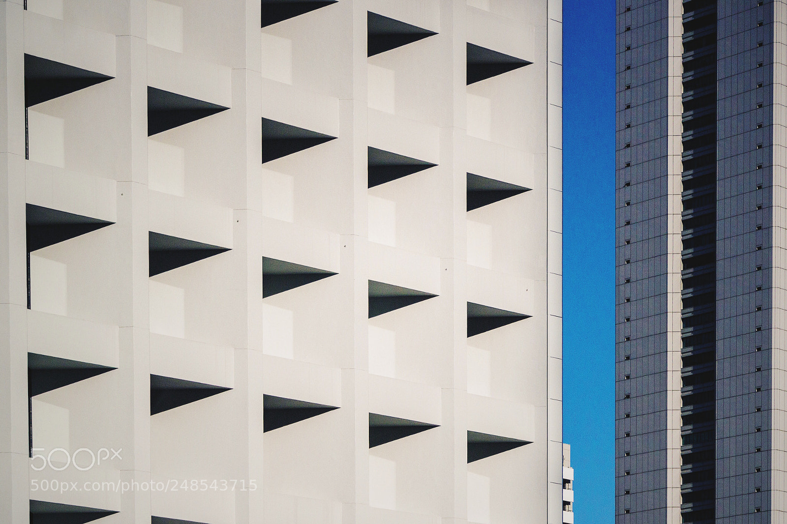 Canon EOS 600D (Rebel EOS T3i / EOS Kiss X5) sample photo. A bizarre triangle love photography