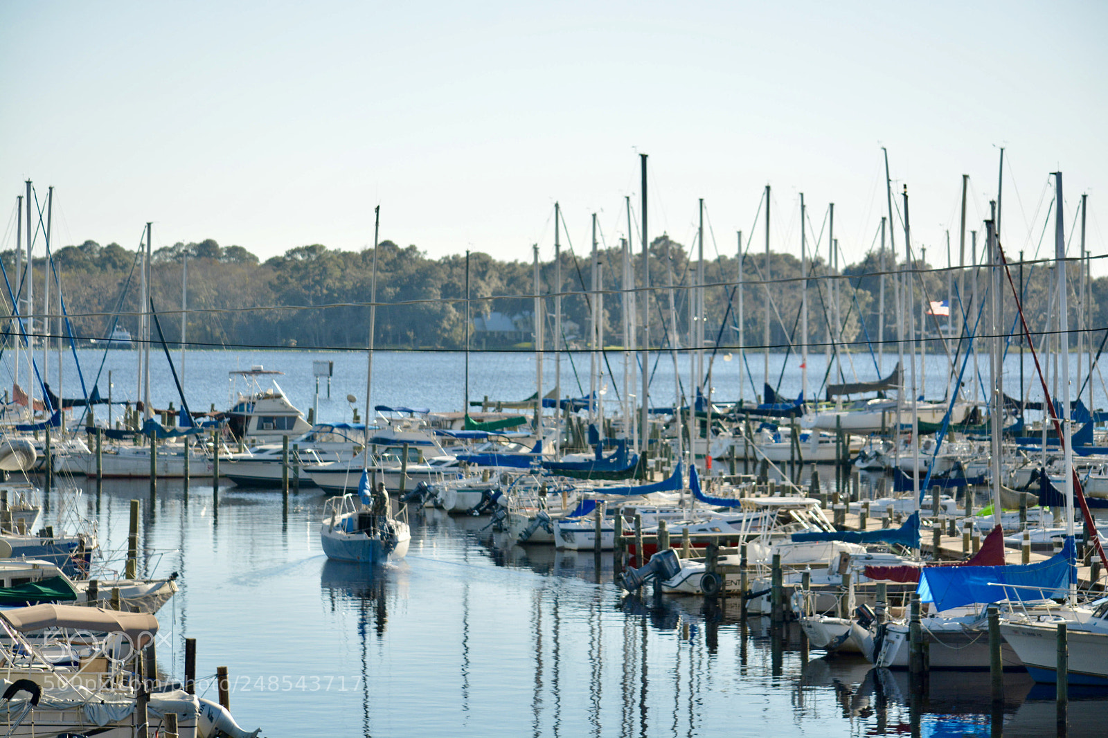 Nikon D7100 sample photo. Untitled photography