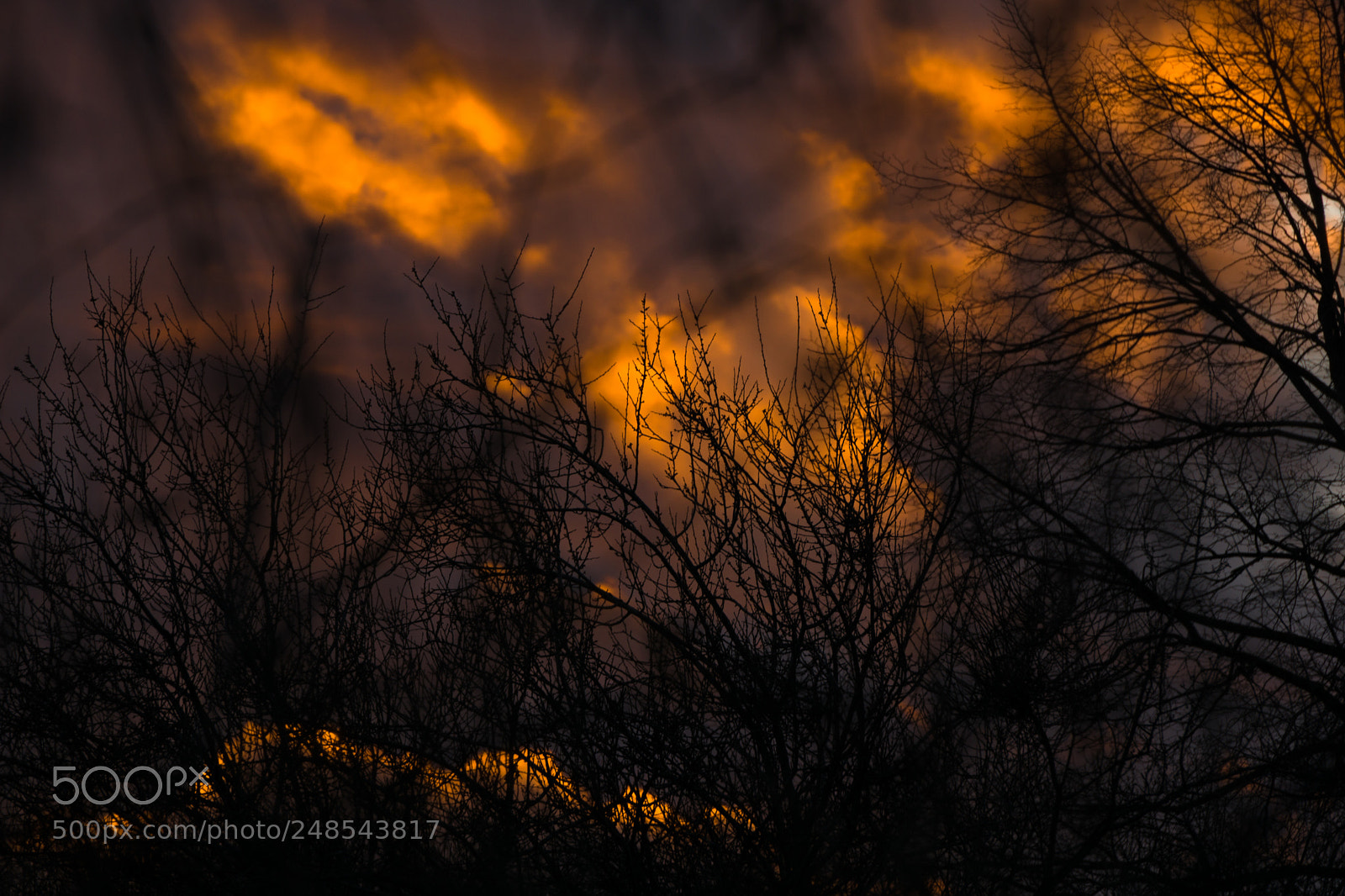 Sony a6000 sample photo. Burning away... photography