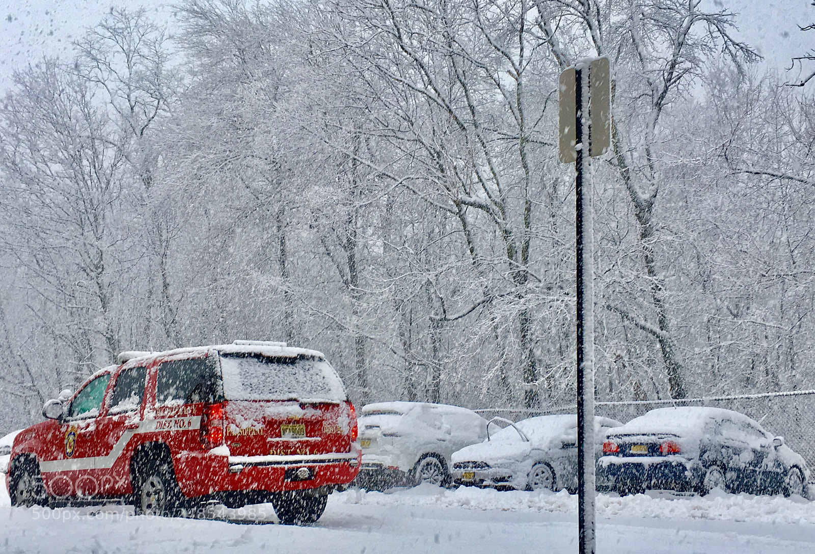 Apple iPhone 6s Plus sample photo. Snowy storm! photography