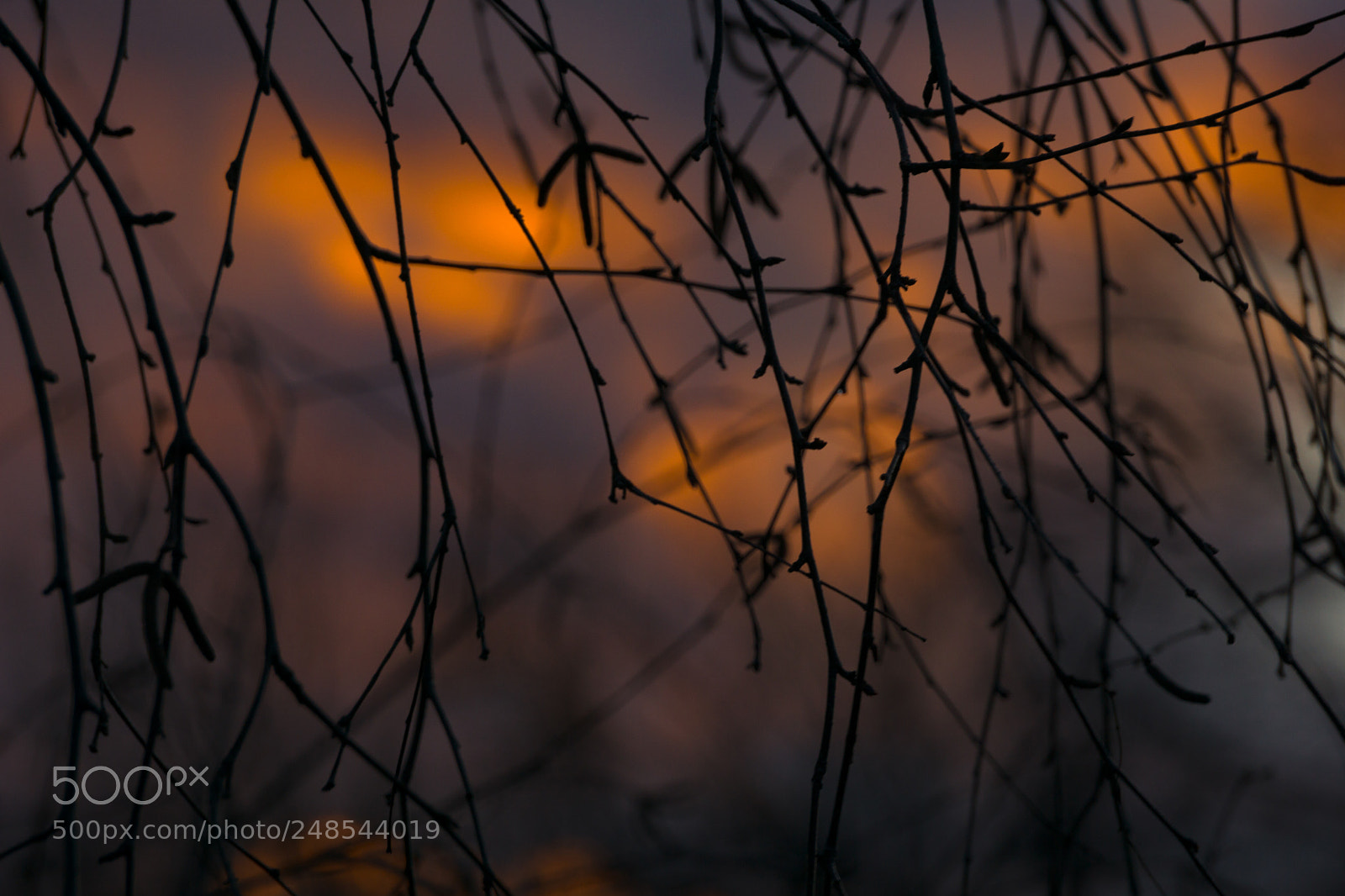 Sony a6000 sample photo. Gently moving on... photography