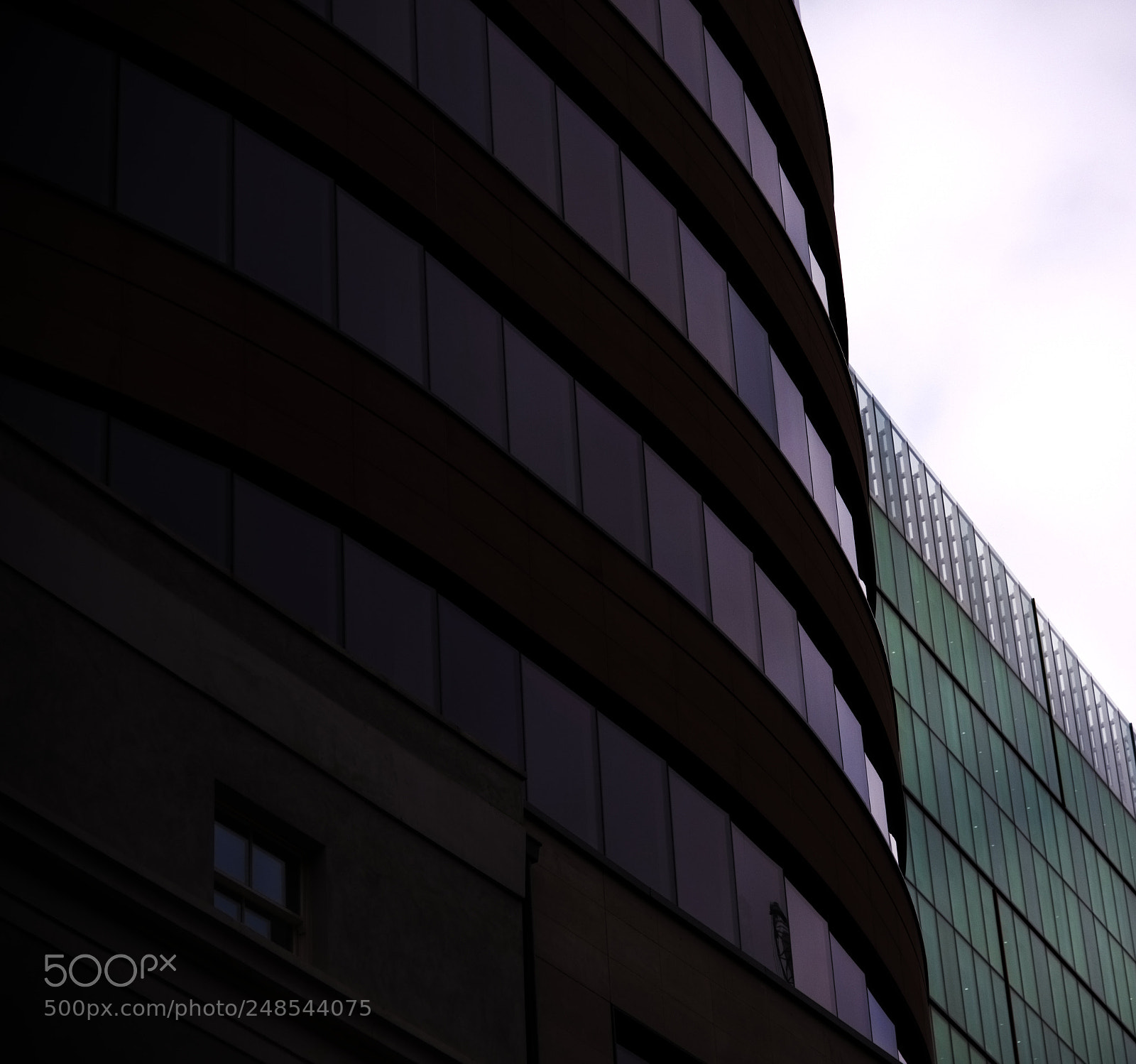 Nikon D810 sample photo. In the round photography