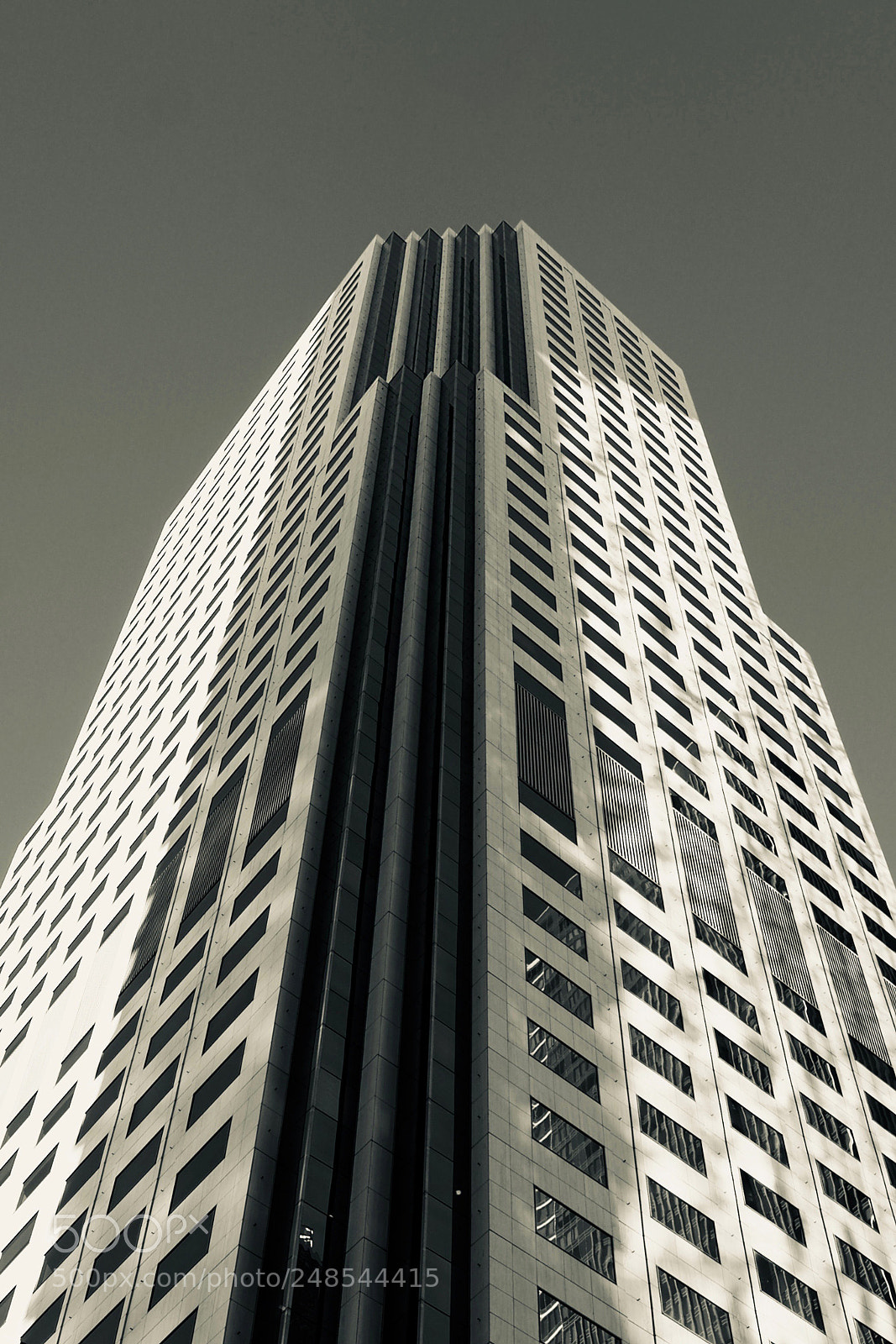 Sony a9 sample photo. They call it xanadu photography