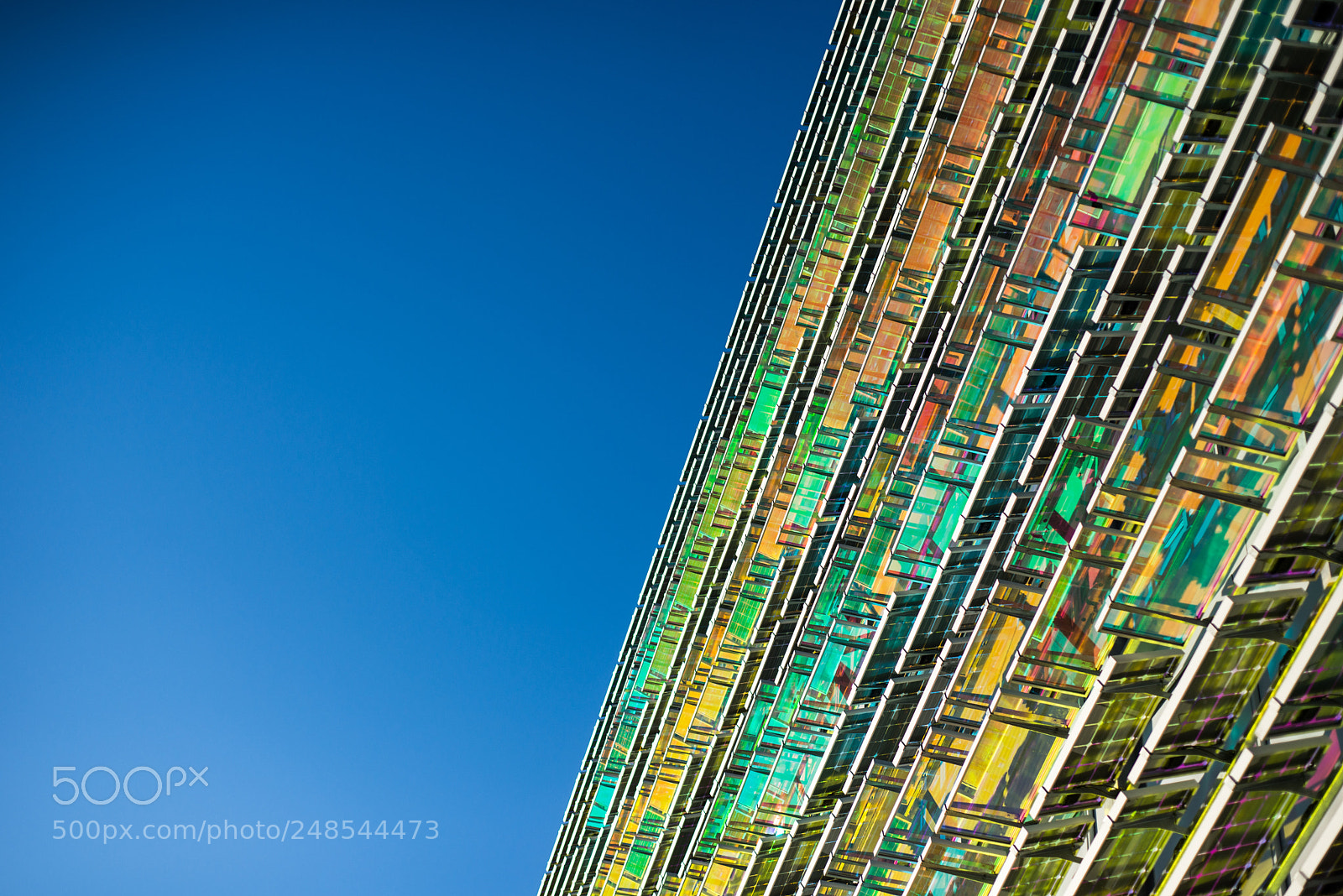 Nikon D610 sample photo. Colored photography