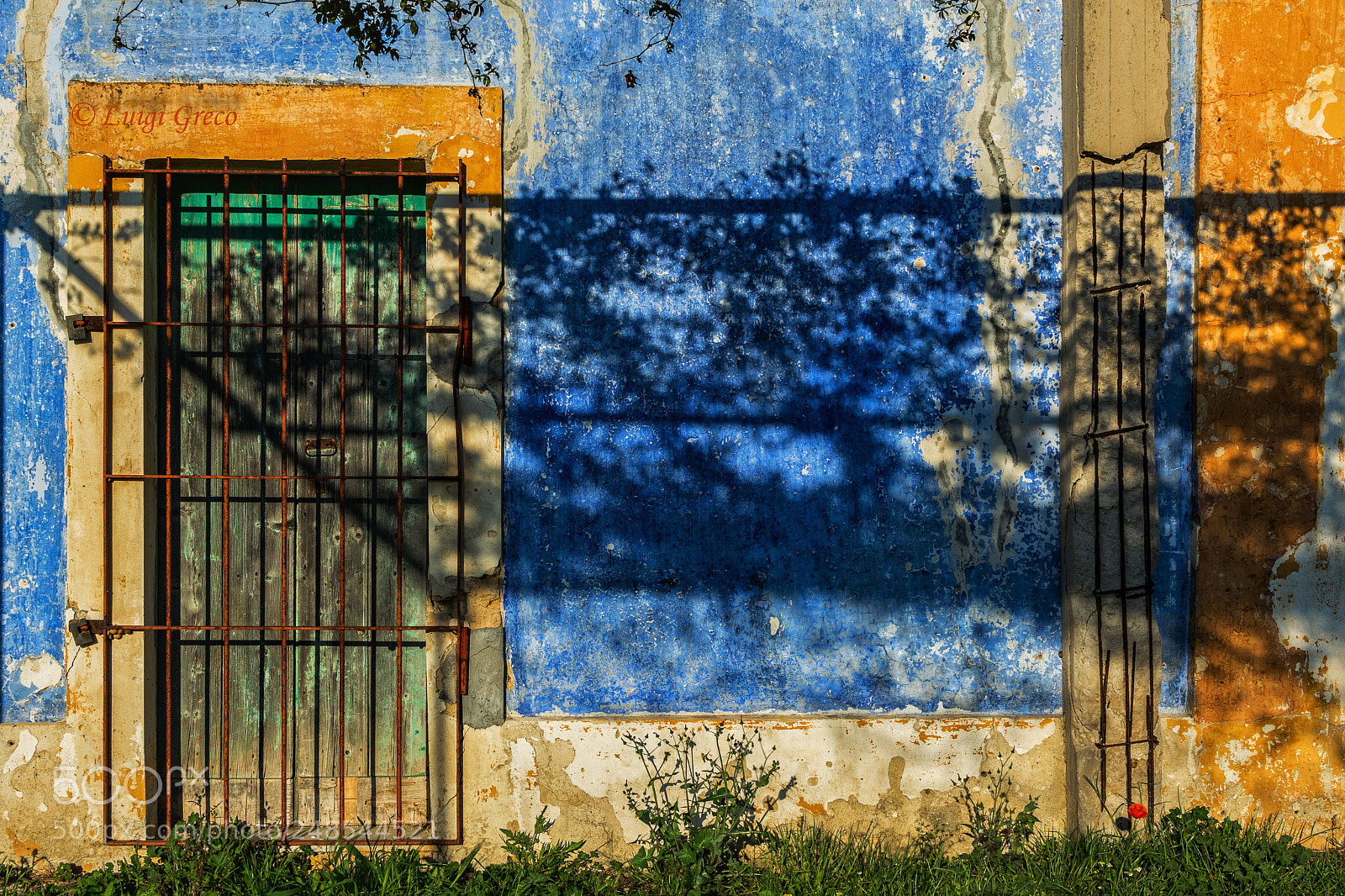 Nikon D5200 sample photo. Untitled photography