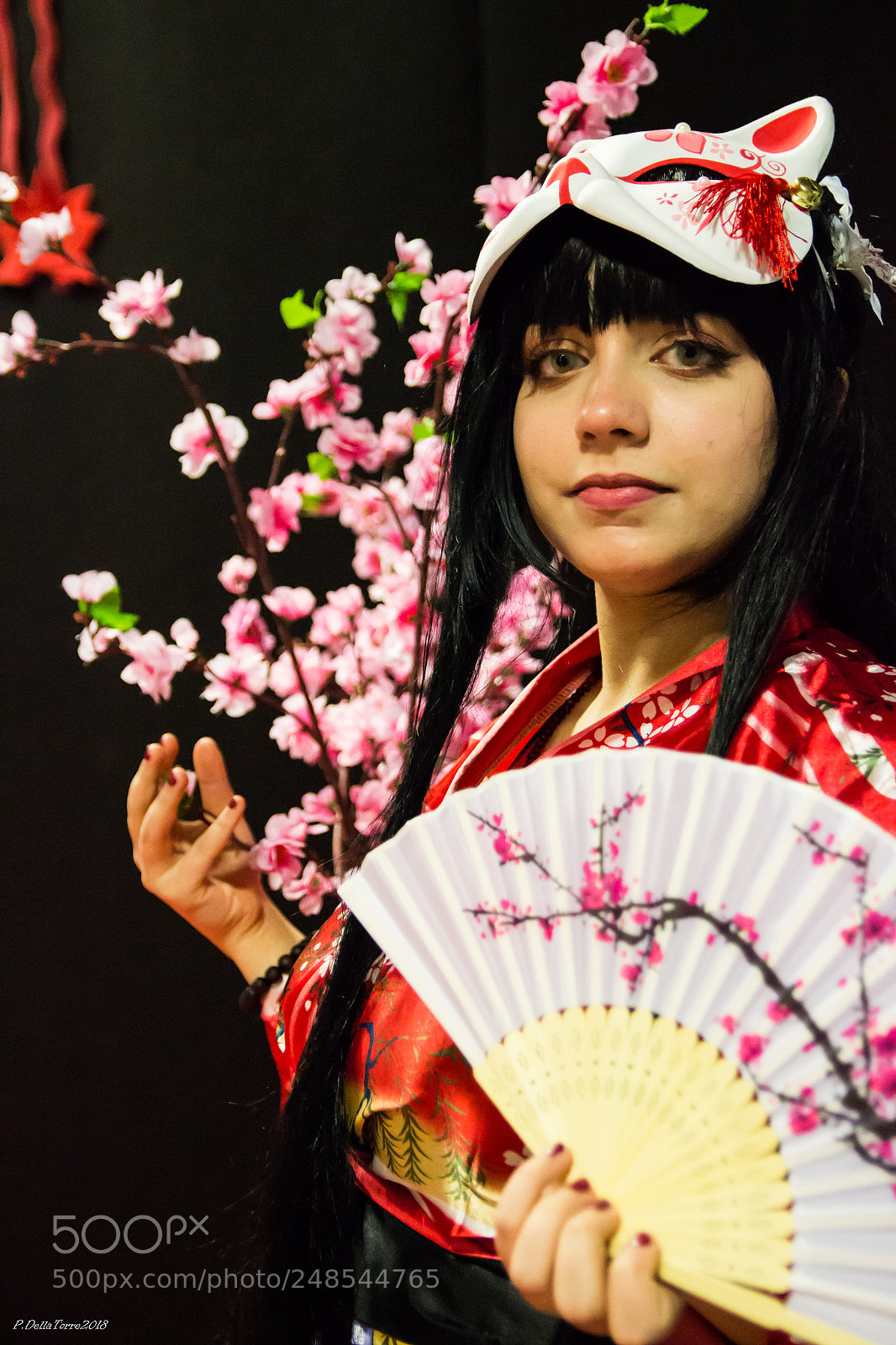 Canon EOS 600D (Rebel EOS T3i / EOS Kiss X5) sample photo. Cosplay photography