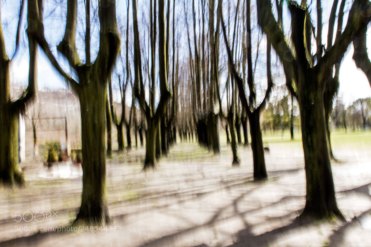 Canon EOS 60D sample photo. Impressionism... photography